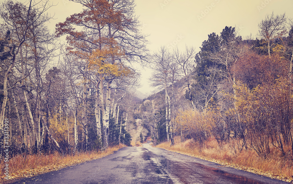 Color toned wet road in Rocky Mountains National Park, Colorado, USA. Color toned wet road in Rocky Mountains National Park, Colorado, USA.