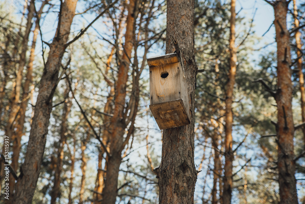 birdhouse in a tree in the winter forest