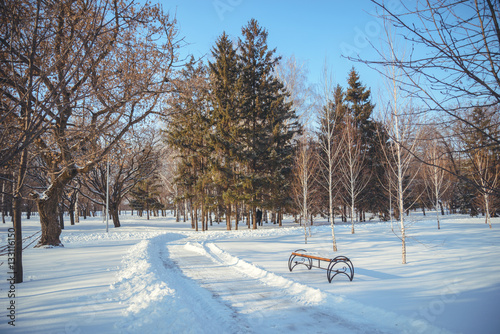 Winter landscape park in city