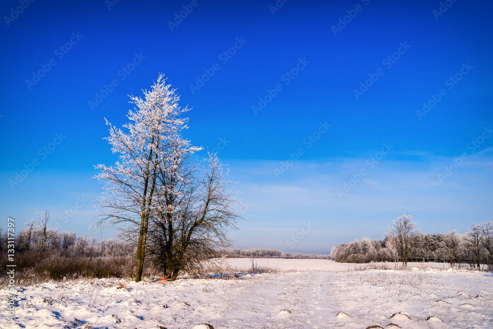 Brama na bagna, Narew Brama na bagna, Narew