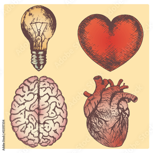 Hand drawn vector sketch illustration set - brain, love and naturalistic heart, light bulb, yellow background.