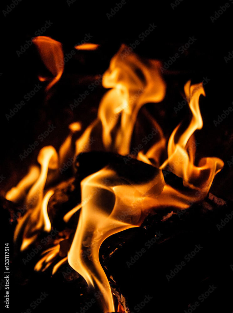 Fototapeta premium Fire