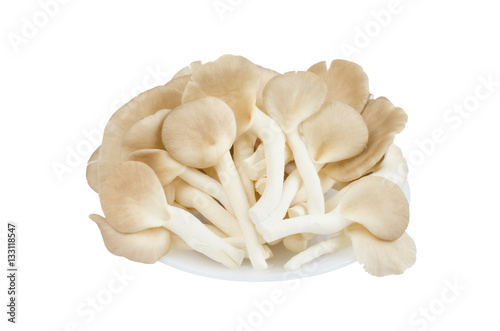 Close-up fresh oyster mushrooms on white ceramic plate isolated on white background