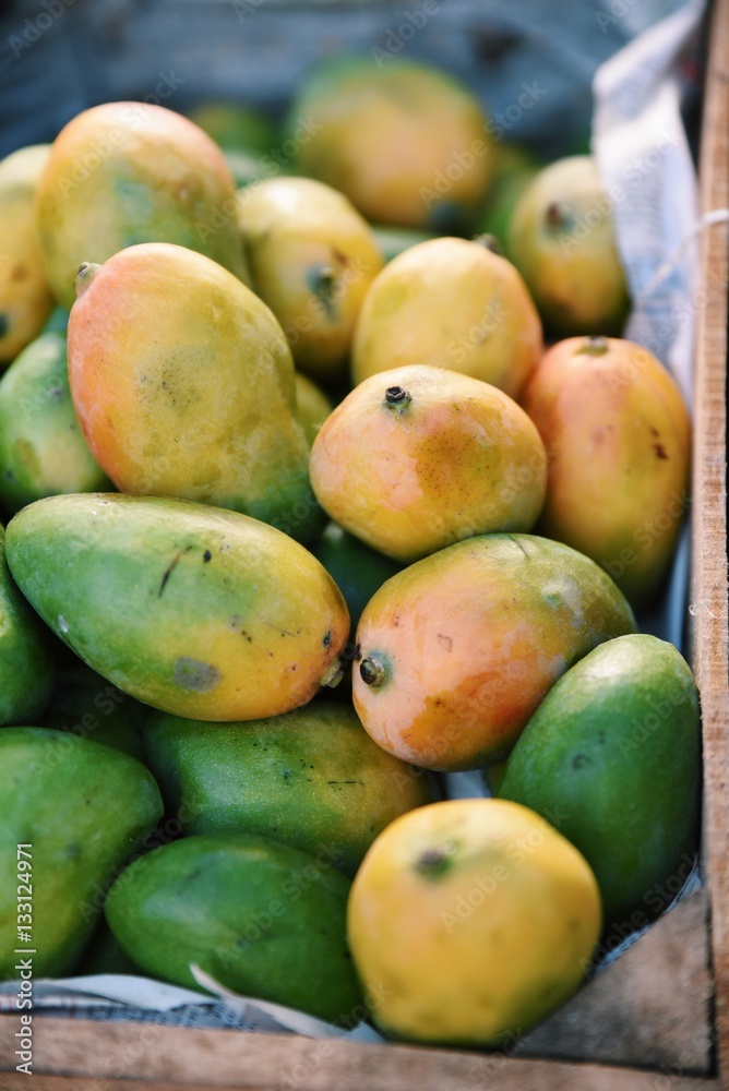 Mangoes Mangoes