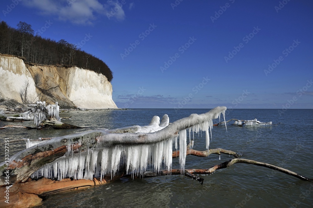 Fototapeta premium Kreideküste im Winter