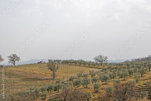 Toskanische Landschaft