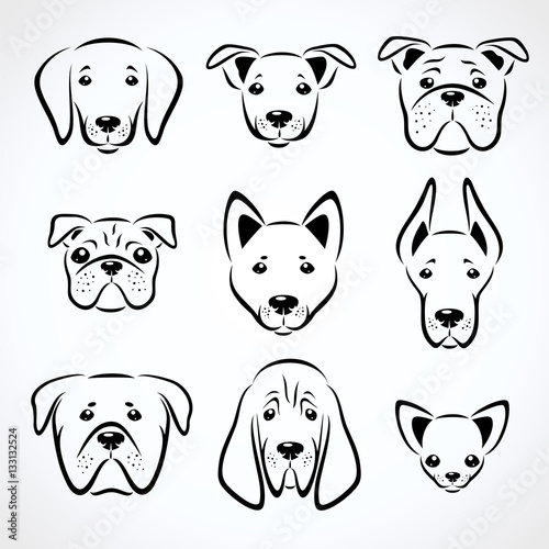 Dogs set. Vector