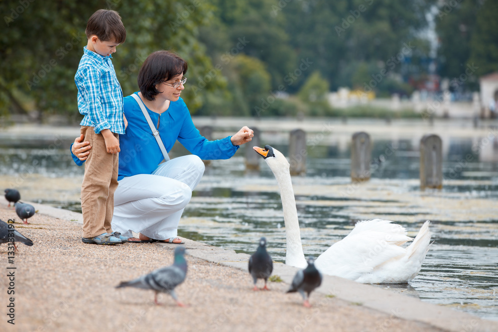 Naklejka premium Young mother and her little son feeding swans at the lake