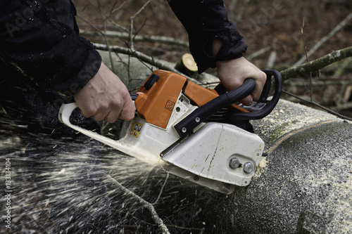 chainsaw cutting wood