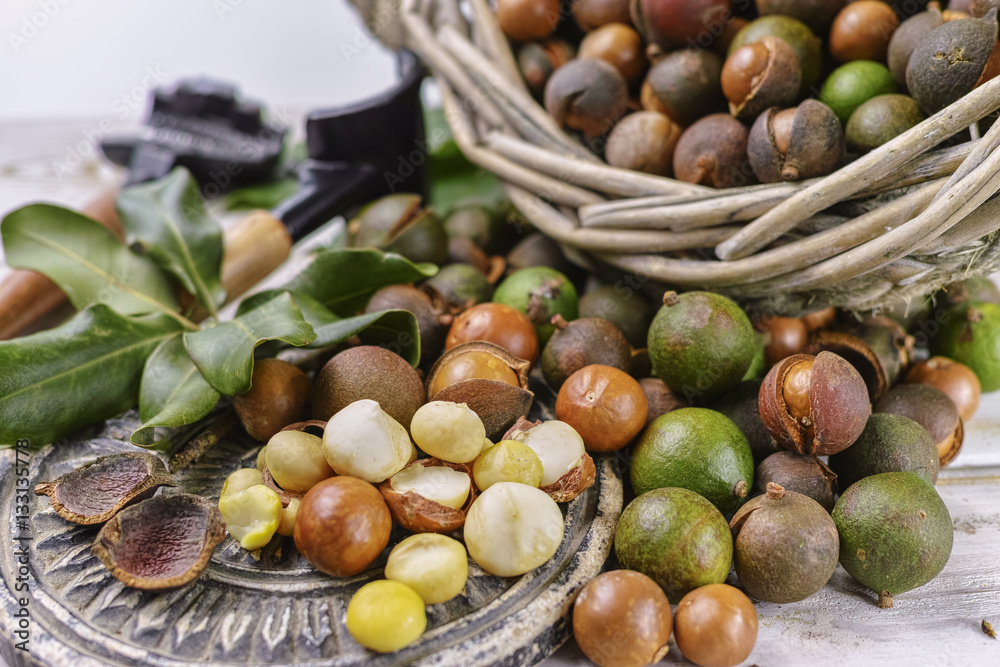 Macadamia nuts with shell - tasty expensive fat nuts Macadamia nuts with shell - tasty expensive fat nuts
