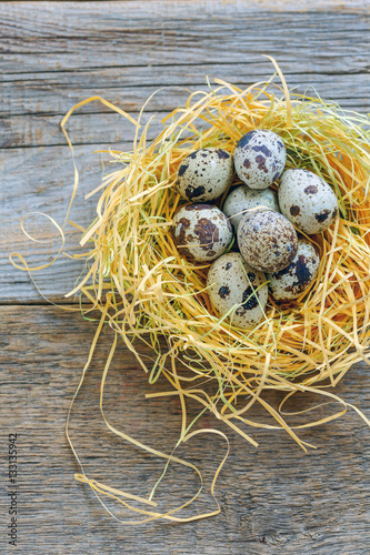 Colorful quail eggs in the nest.