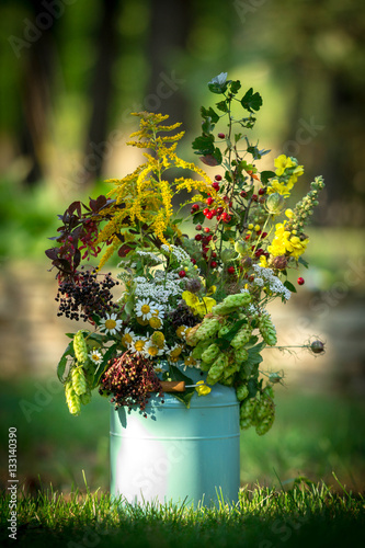 Obraz na plátně Bouquet of herbs.