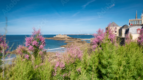 Photos View through the flowers on Eventail beach and an island of National fort in Sai