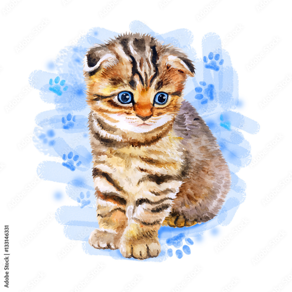 Watercolor portrait of British scottish fold kitten with odd eyes ...