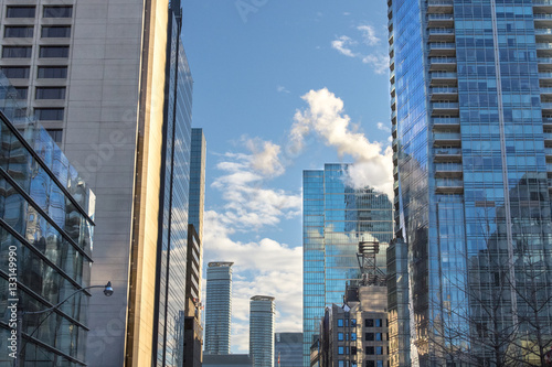 Newly built skyscrapers in downtown Toronto  Ontario  Canada