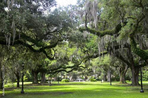 Audobon Park