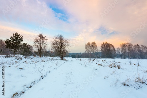 Polish typical winter rural landscape © milosz_g