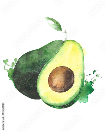 Avocado fruit watercolor food illustration isolated on white background © Yulia