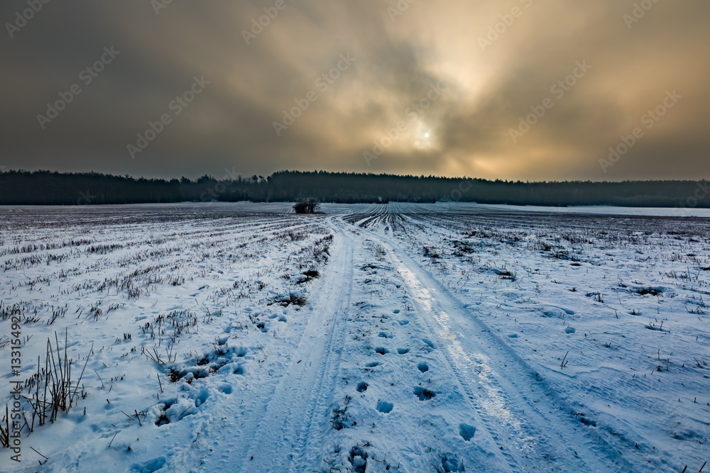 Winter snowy fields and foggy day Winter snowy fields and foggy day