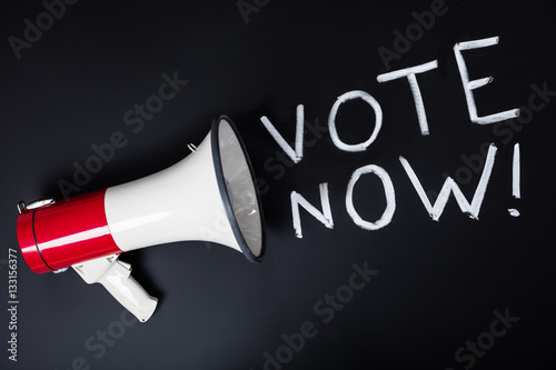 Cuadro en lienzo Voting Concept On Blackboard