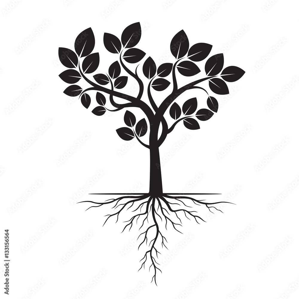 Obraz premium Black Tree with Roots. Vector Illustration.