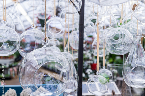 Hanging glass terrariums for plants