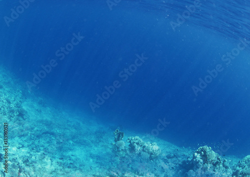 Background of underwater and coral. 