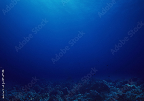 Bottom of the sea background.
