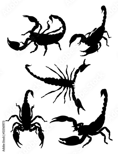 Scorpions gesture animal silhouette. Good use for tattoo, symbol, logo, web icon, mascot, sign, or any deign you want.