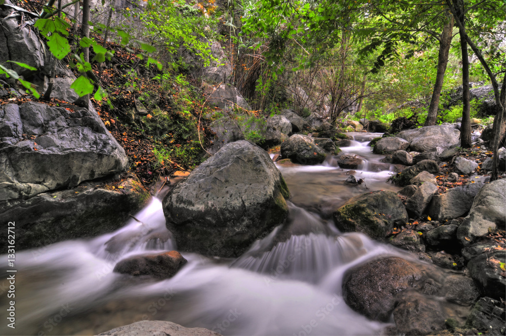 the creek the creek