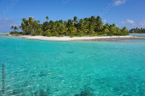 Tropical islet with coconut palm trees and turquoise water, atoll of Tikehau, Tuamotu archipelago, French Polynesia, south Pacific ocean 
