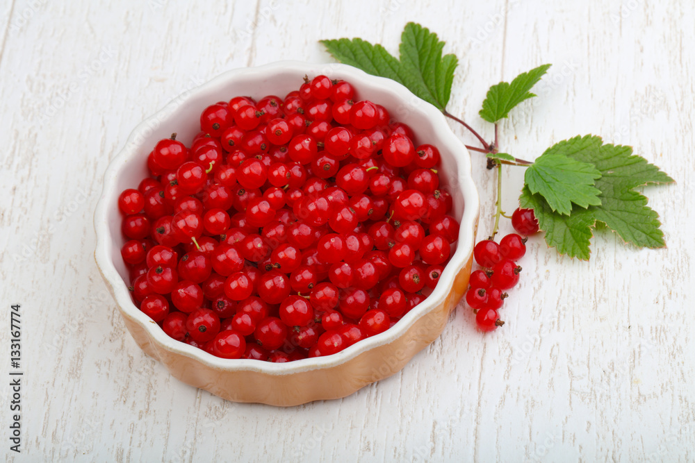 Red currants Red currants