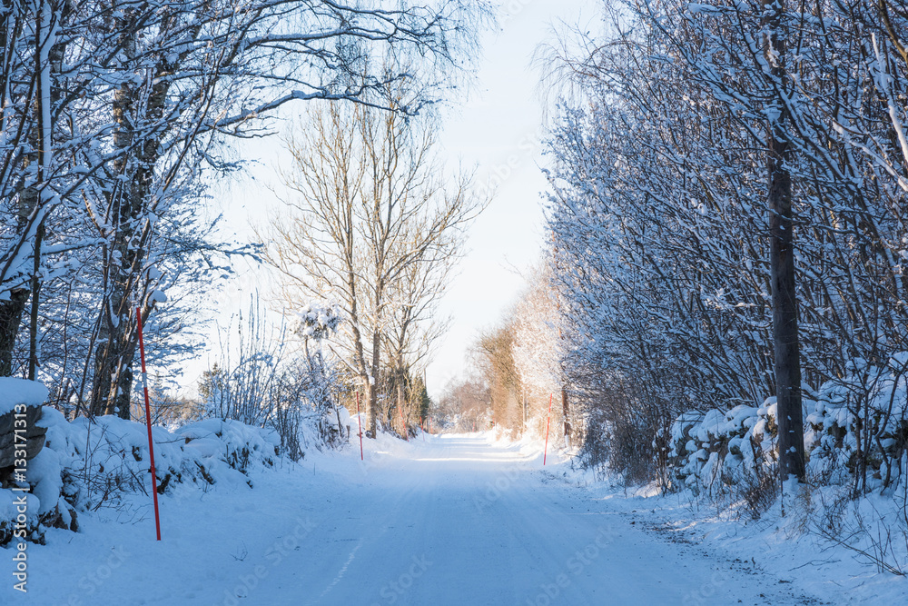 Obraz premium Country road through a snowy winter landscape