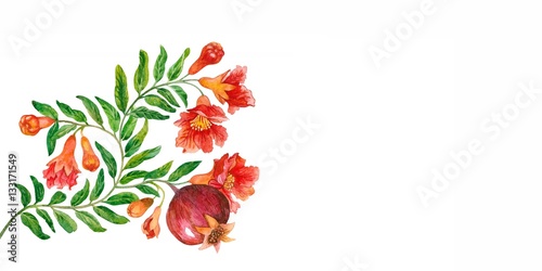 Flowers and fruit of a pomegranate. Watercolor.  photo