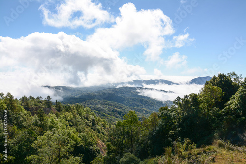 fog and cloud on mountain at Kew Mae Pan ,Doi Inthanon National Park, Thailand.