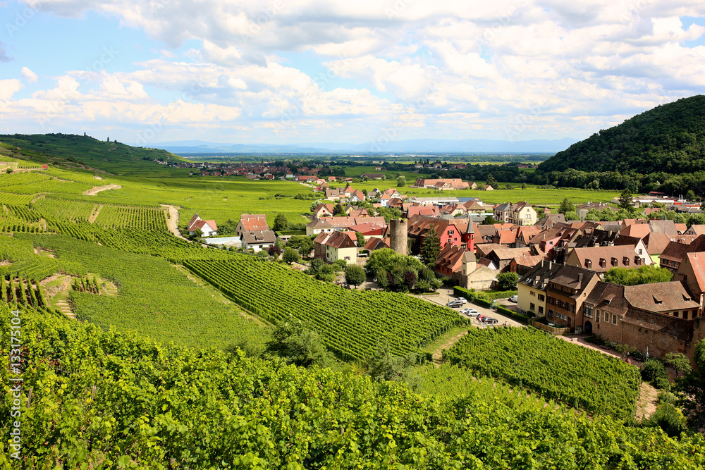Fototapeta premium Vineyards around Kaysersberg, a small village in the heart of the Alsace Wine Route, France