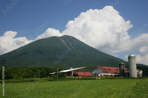 夏の羊蹄山麓