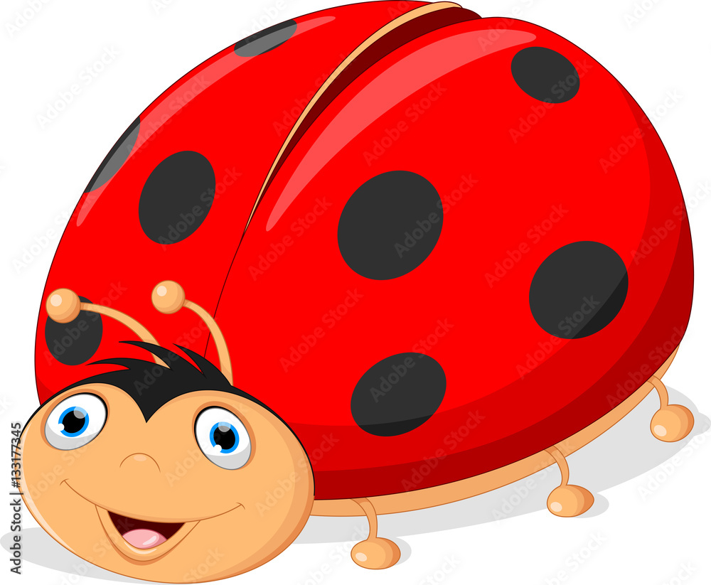 Naklejka premium Cute ladybug cartoon