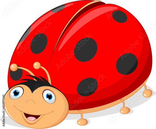 Cute ladybug cartoon