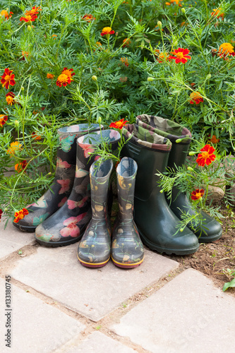 Rubber Boots (Male, Children, Female) Near Flowers Marigold In Garden. Top View And Copyspace.