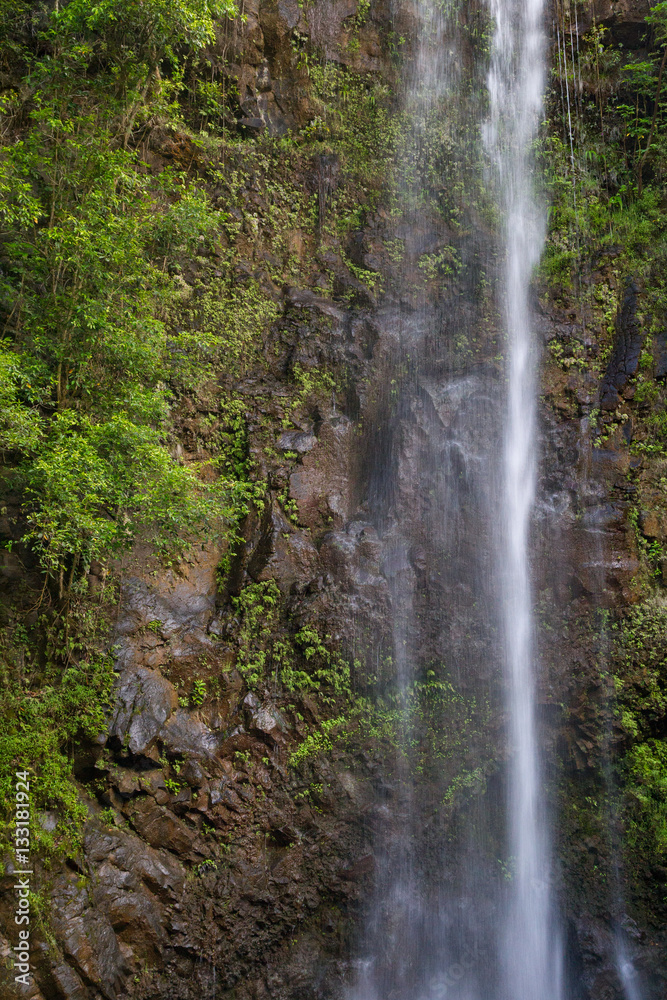 Wasserfall im Urwald in der Nähe des Wailua River auf Kauai, Hawaii, USA.