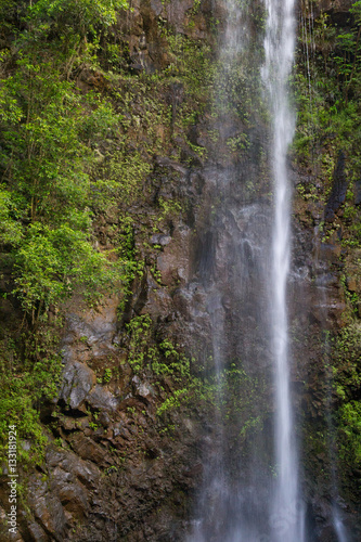 Wasserfall im Urwald in der Nähe des Wailua River auf Kauai, Hawaii, USA.
