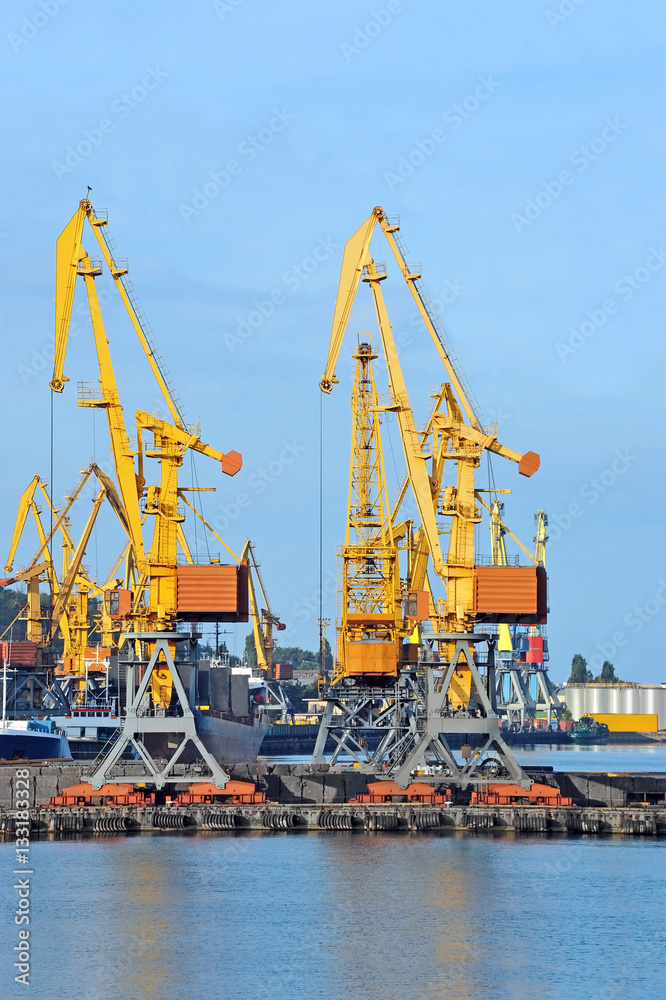 Port cargo crane