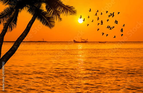 silhouette coconut palm trees and fisherman boat in tropical sea with silhouette waterbird flying on sunset background    photo