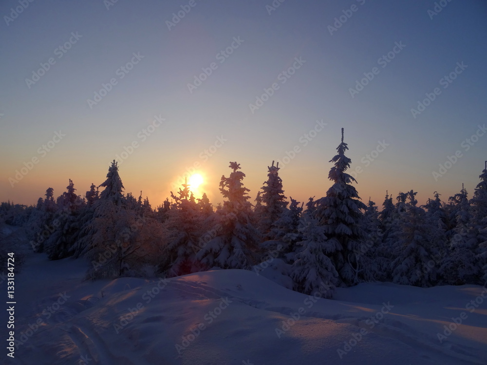 Colorful landscape at the winter sunrise in the mountain forest. Winter view from Jested