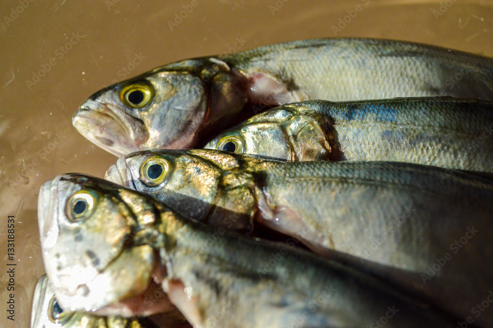 Pile of bluefish in a glass bowl before cooking