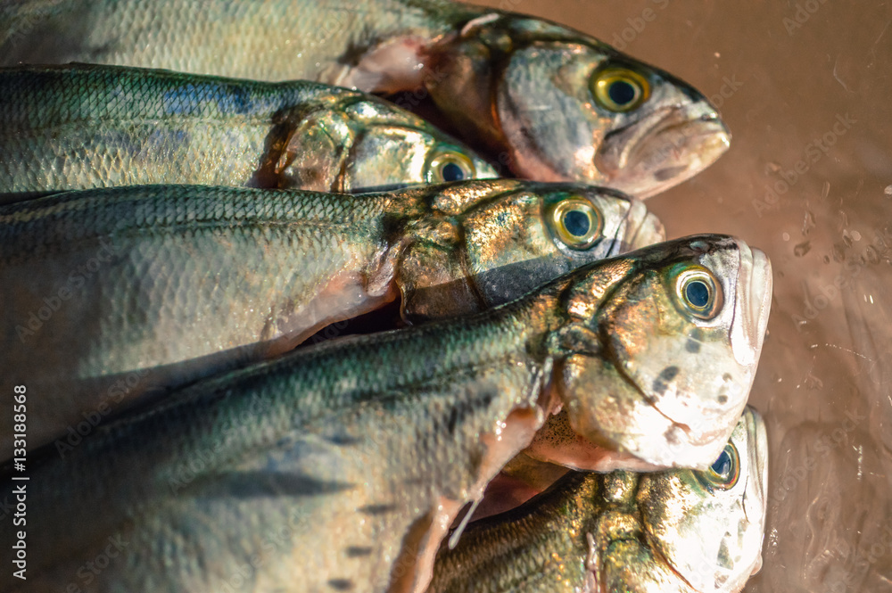 Obraz premium Pile of bluefish in a glass bowl before cooking