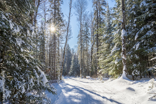 Cross-country skiing in Algonquin National Park