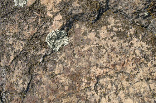 Natural stone hard rock with lichen background