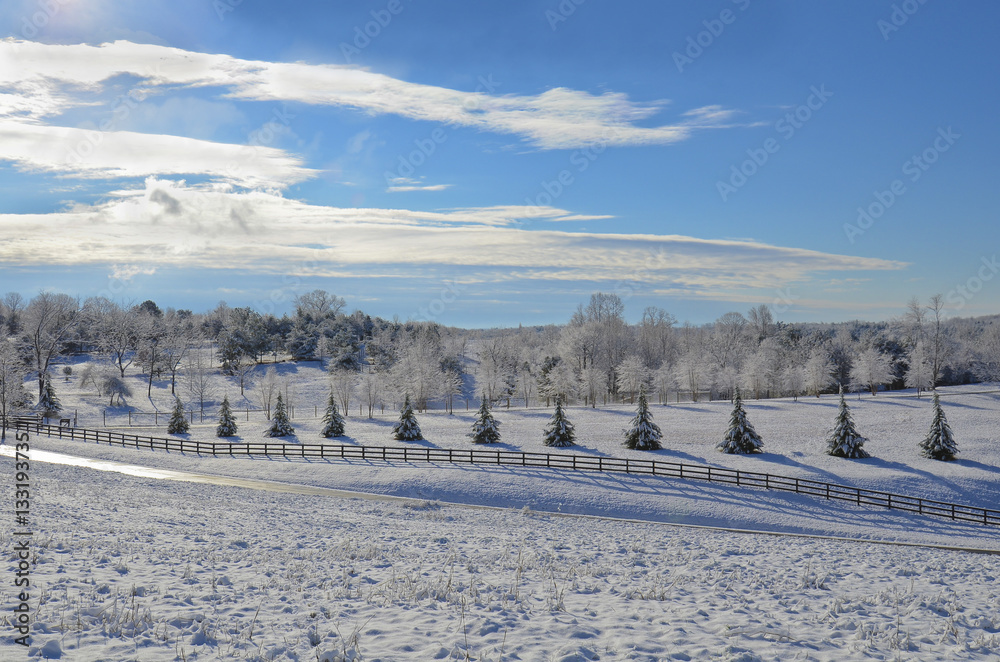 Beautiful Winter Landscape